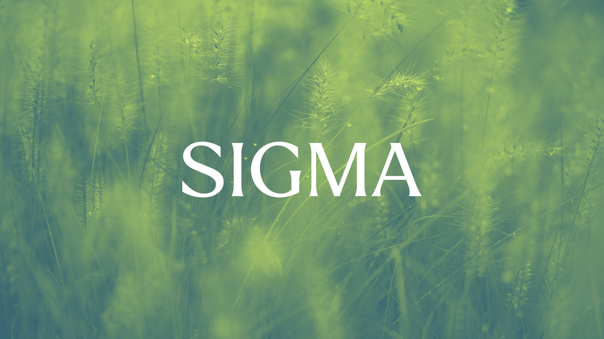 Sigma Adopts DHL’s GoGreen Plus Solutions as Part of Its Commitment to Reducing the Environmental Impact of Its International Product Shipments